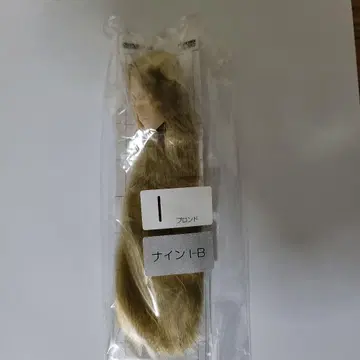 육분의 일 남자 도감 식모 블랭크 헤드 나인