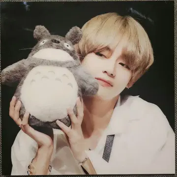 BTS V 태현 태태 액자 아크릴 프레임 3