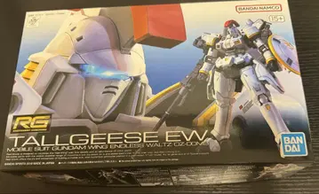 RG 1/144 톨기스 EW