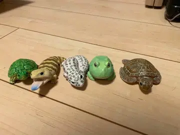 손안의 프렌즈 파충류 아오지타 도마뱀