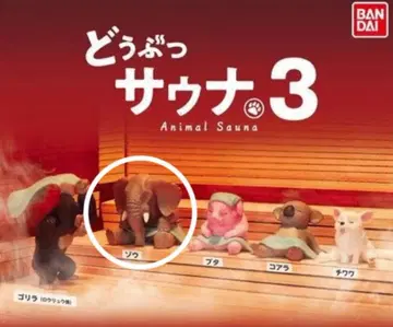 동물 사우나 3종 세트