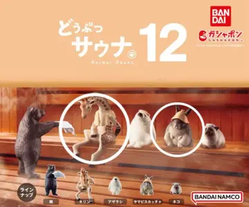 동물 사우나 3종 세트