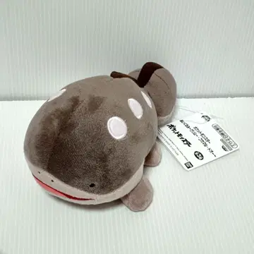 포켓몬 봉제 인형 두오 택 포함 새상품