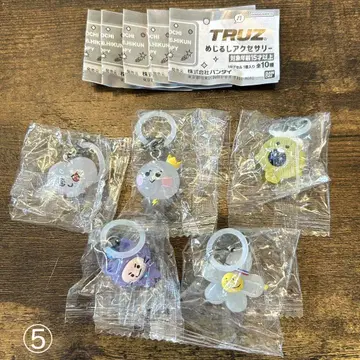 TRUZ 메지루시 액세서리 5개 세트