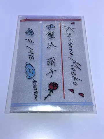노이미 카니사와 모에코 응원봉 필름 전국 투어 2023 일본 무도관