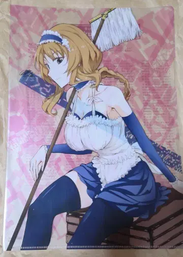 디 플래그 클리어 파일 749