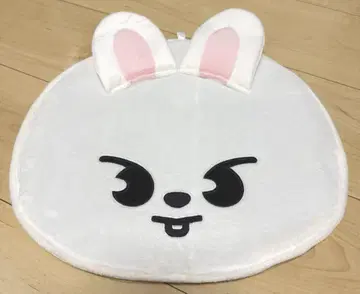 stray kids 부채 커버 Lee Know 리노