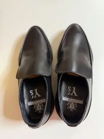 Y's