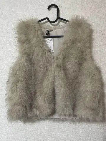 H&M 퍼 베스트