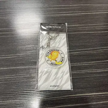 ZETA DIVISION 피카츄 아크릴 키링