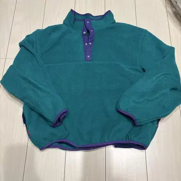 L.L.Bean 스냅T