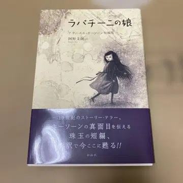 라파치니의 딸 : 너새니얼 호손 단편집