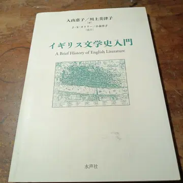 영국 문학사 입문