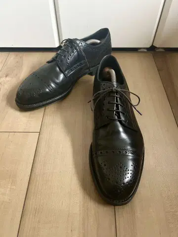 [ 고품질 ] REGAL 리갈 펀치드캡토 메달리온 26cm