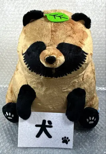 비와 너와 BIG 봉제 인형 너구리