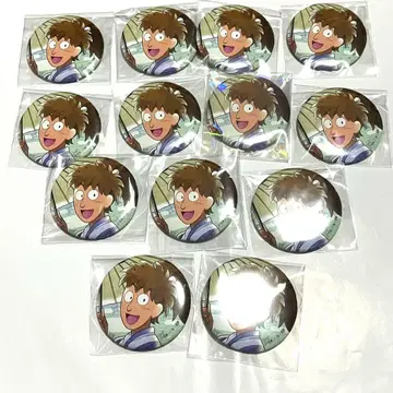 닌타마 란타로 꽃야시키 모두 함께 시타마치 산책 편 캔뱃지 라이조 13개