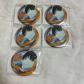 하이큐!! 팬파크 컬렉션 캔뱃지 카게야마 토비오 5점