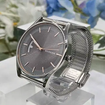 SKAGEN 스카겐 가동품 그레이 손목시계(쿼츠)
