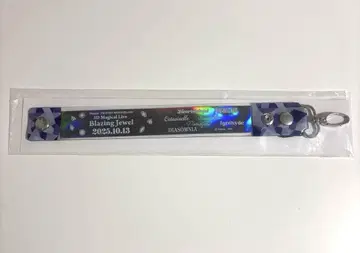 트위스테 브레이징 주얼 브레쥬 라이브 회장 참 day3