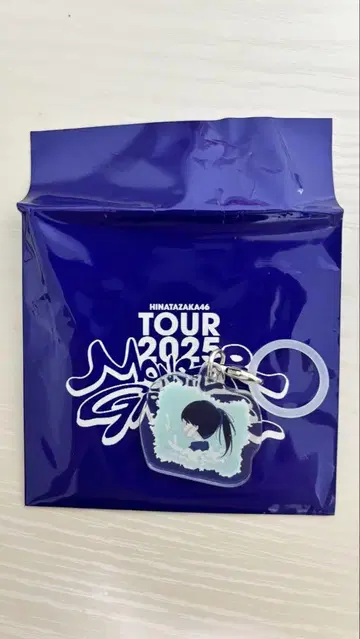 히나타자카46 쇼겐지 요코 메지루시 참 키링
