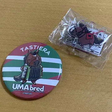 UMAbred 타워 레코드 아크릴 스탠드 국화상 음악 콜라보 캔뱃지