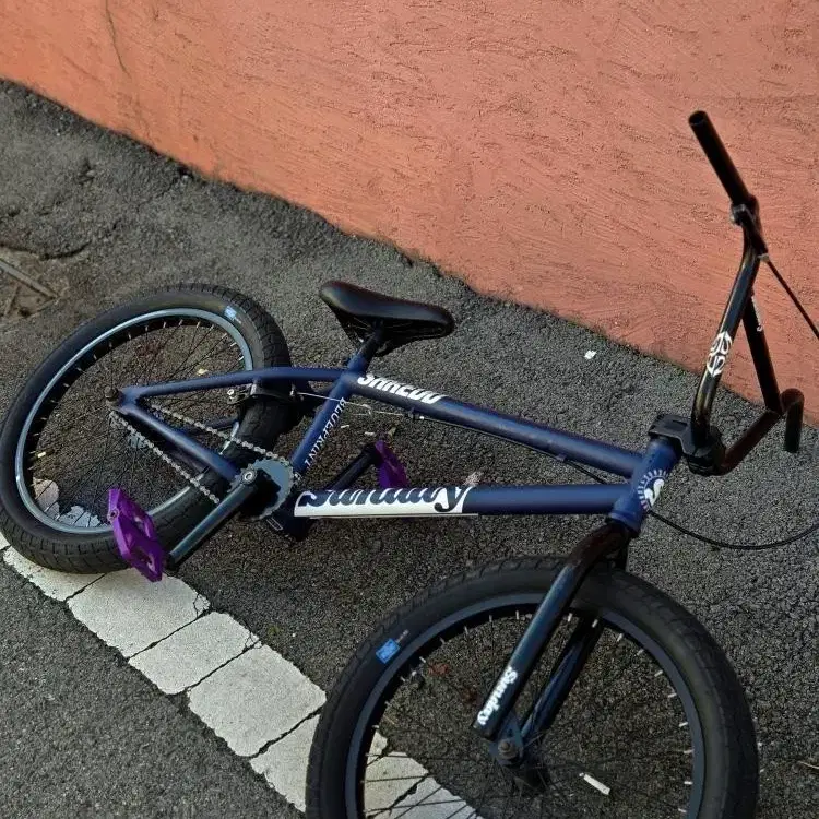 선데이 bmx 20인치 판/대 (판매완료)