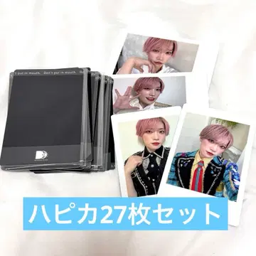 팬더드래곤 타이거 하피카