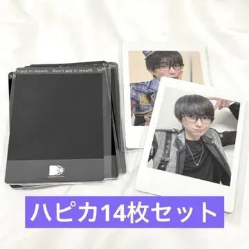 팬더드래곤 나루키 하피카