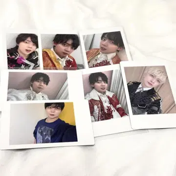 팬더드래곤 하피카