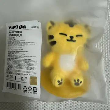 세븐틴 SEVENTEEN 미니틴 호시 마그넷 키링