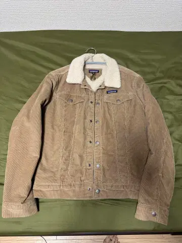 Patagonia M's Pile Lined Trucker