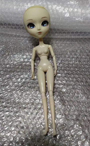 풀립 커스텀 소체