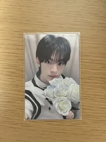 TWS 도훈 yzy 고백 트레이딩 카드 Try With Us