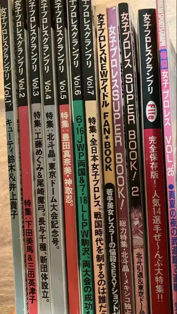 여자 프로레슬링 아이돌 그랑프리 슈퍼북 잡지
