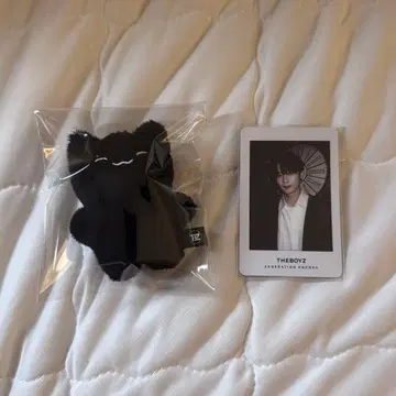 THEBOYZ 도보이즈 주연 봉제 인형 트레이딩 카드