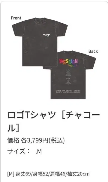 WESSION FESTIVAL 2025 티셔츠 차콜 M 사이즈