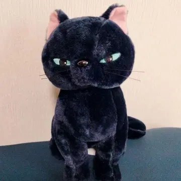 메리와 마녀의 꽃 티브 BIG 봉제 인형 지브리