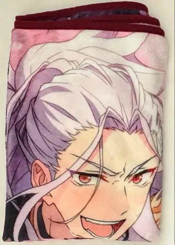 앙스타 비주얼 담요 란 나기사