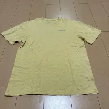 231 patagonia M 사이즈 T셔츠