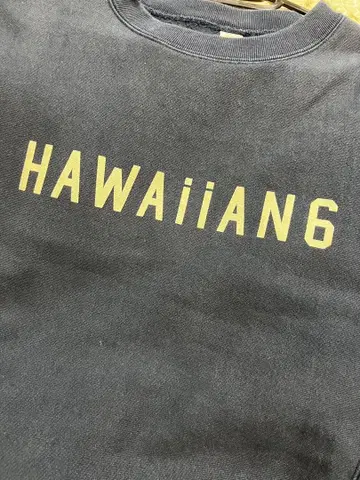Hawaiian6 로고 맨투맨 네이비 네이비