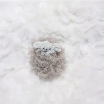 베이지 복슬복슬 양 아미구루미