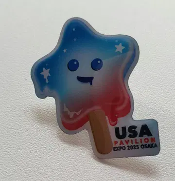 USA Pavilion EXPO 핀 배지 스파크 미국 만박