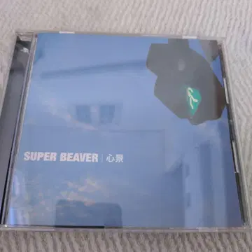 SUPER BEAVER 심경