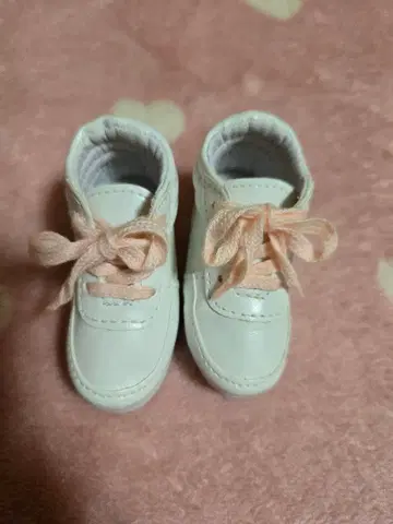 40cm 스니커즈