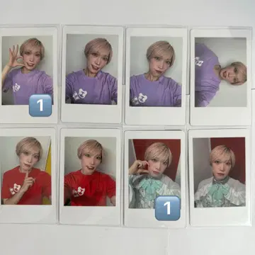 팬더드래곤 타이거 하피카 1