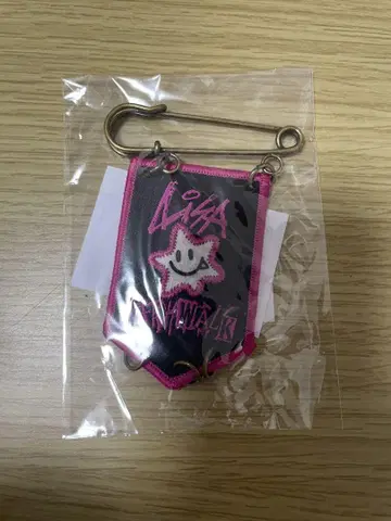 LiSA 패치워크 PATCH WALK 콘서트 미토 공연