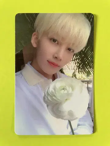 SEVENTEEN 정한 Happy Ending 캐럿반