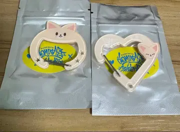 SKZOO SECRET ACRYLIC CARABINER 폭시니