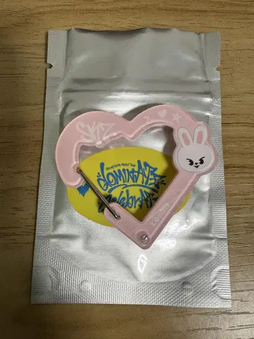 SKZOO SECRET ACRYLIC CARABINER 리 비트