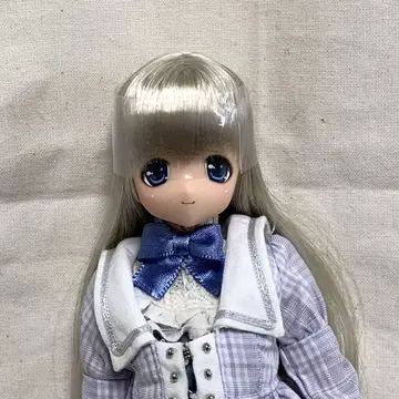 사아라즈 아 라 모드 ALISA (아리사) 아존 다이렉트 스토어 한정판